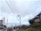 図44